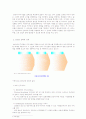 IT839 전략의 추진과 나아갈 방향 4페이지