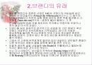 [주류학] 브랜디, 꼬냑, 알마냑 3페이지
