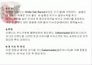 [주류학] 브랜디, 꼬냑, 알마냑 6페이지