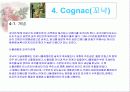 [주류학] 브랜디, 꼬냑, 알마냑 7페이지