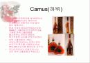 [주류학] 브랜디, 꼬냑, 알마냑 13페이지