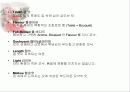 [주류학] 브랜디, 꼬냑, 알마냑 21페이지