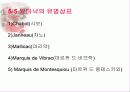 [주류학] 브랜디, 꼬냑, 알마냑 28페이지