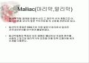 [주류학] 브랜디, 꼬냑, 알마냑 31페이지