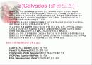 [주류학] 브랜디, 꼬냑, 알마냑 35페이지