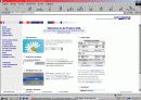대한항공의 E-business 전략 [웹사이트 분석] 18페이지
