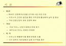 국내 카지노 산업의 현황 및 문제점 3페이지