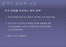 중국 휴대폰시장 진출전략 17페이지