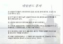네덜란드의 건축과 주거문화 8페이지
