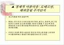 네덜란드의 건축과 주거문화 35페이지