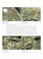 수곡리 암각화 6페이지