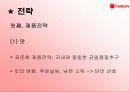 오리온 쵸코파이 [중국진출 성공전략] 13페이지