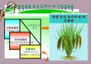 [농업경영]고상품성 쌀 브랜드 유통활성화 방안 37페이지