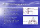 경부 척추증 4페이지