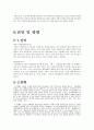 영화산업의 전략과 전망(태극기 휘날리며) 16페이지