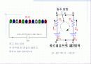 전위의 평형 7페이지