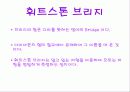 전위 평형 5페이지