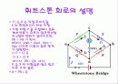 전위 평형 7페이지