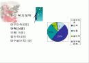 병원경영에 대하여 17페이지