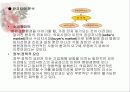 병원경영에 대하여 26페이지