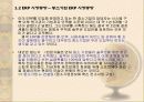 성공적인 ERP의 도입을 위한 방법론 17페이지
