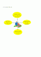프로포절-노인 자원봉사 활성화와 리더쉽 양성을 위한 통합적 노인 자원봉사 프로그램 17페이지