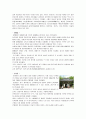 남원 “75회 춘향제”를 다녀와서 13페이지