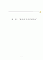 피아제 인지발달이론 1페이지