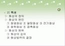 (의료 복지 프로포절)여성 화상 환자들의 사회복귀를 위한 능력 향상 프로그램 (프로그램 명 : ▷ 『행복한 상상』) 5페이지