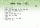 관광 계획, 개발과 사회적인 고려사항 10페이지