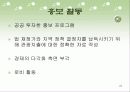관광 계획, 개발과 사회적인 고려사항 27페이지