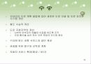 관광 계획, 개발과 사회적인 고려사항 33페이지