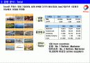 기업 분석 : 글로벌 Top 10 (포춘 선정) 기업 사례 분석 13페이지