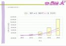 (사업계획서) 사랑과 함께 꽃을 배달해 주는 꽃배달 서비스 사업계획서(알파벳 폰넘버(Phone Number)를 이용한 아이템) 30페이지