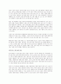 태양전지 시대 4페이지