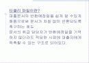 문서의 정리 13페이지