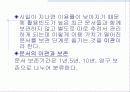 문서의 정리 14페이지