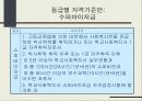 학교사회복지(교육복지)의 동향과 전망 14페이지