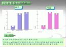 애견시장 비교 분석 및 향후 경쟁 전략 검토 17페이지
