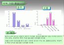 애견시장 비교 분석 및 향후 경쟁 전략 검토 28페이지