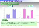 애견시장 비교 분석 및 향후 경쟁 전략 검토 29페이지