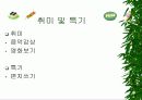 파워포인트로 만든 통통튀는 자기소개서(여자) 4페이지