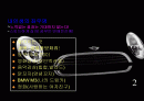 통통튀는 자기소개서 파워포인트 (남자) 2페이지