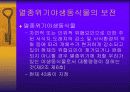 자연환경보전법 7페이지