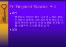 자연환경보전법 16페이지