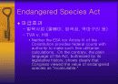 자연환경보전법 18페이지