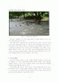 환경속의 인간 6페이지
