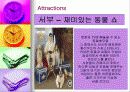 Universal Studios Japan(유니버셜 스튜디오 저팬)의 경영전략 13페이지