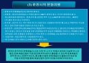 춘천시의 문화향유체계 7페이지