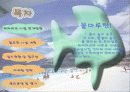 워터파크 사업계획서 3페이지